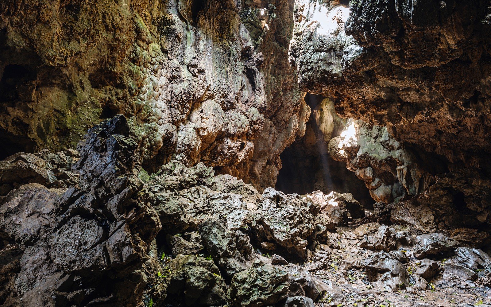 Mawsmai Cave Stalactites