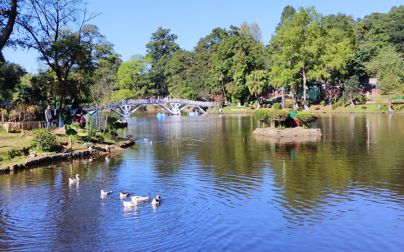 Ward's Lake Shillong
